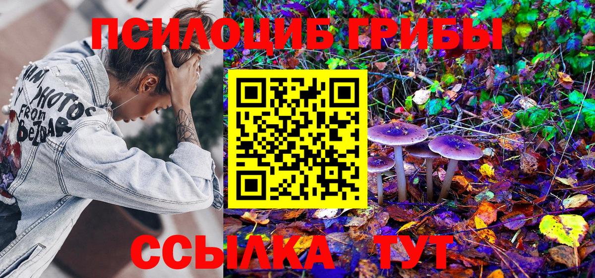 Снежинск  Галлюциногенные грибы Cubensis  наркотики  Вход с VPN 