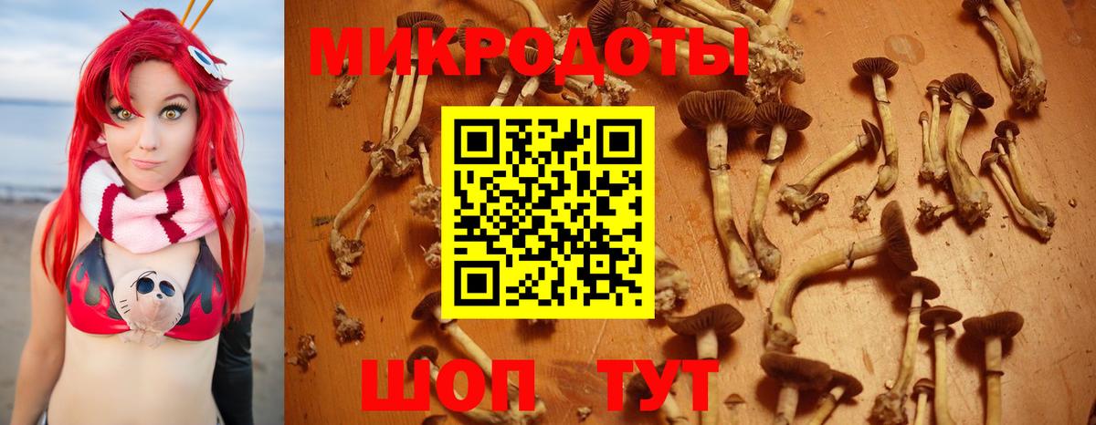 Псилоцибиновые грибы GOLDEN TEACHER Снежинск